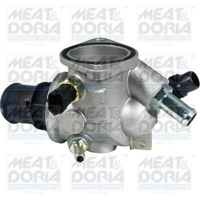 Thermostat, coolant